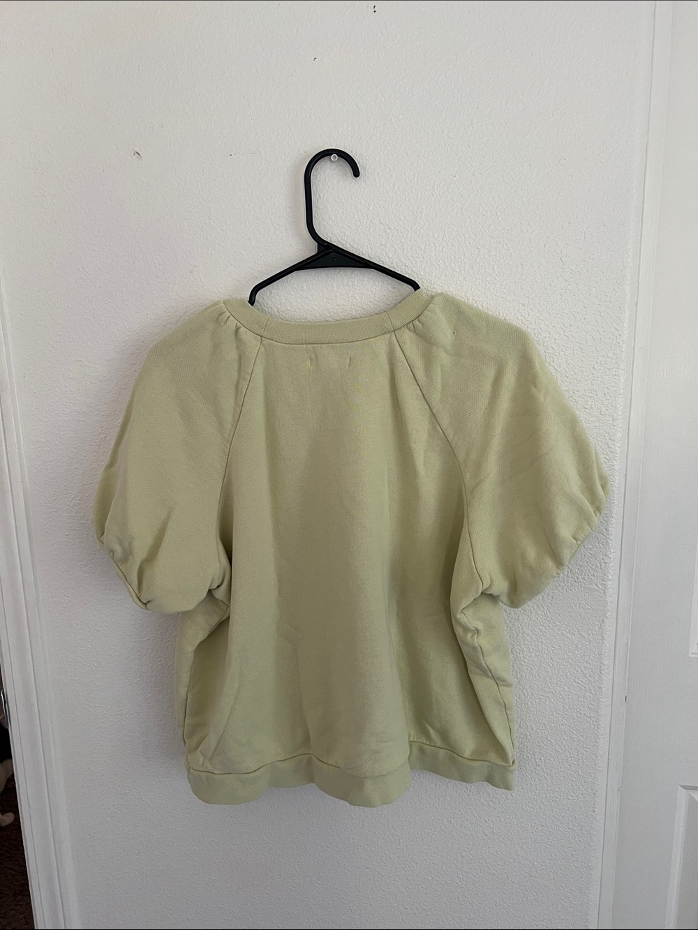 Madewell Pale Sage Short Sleeve Sweatshirt - Picture 3 of 10